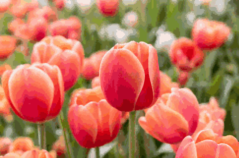 海关数据,PA真人国际海关数据,荷兰海关数据 海关数据,PA真人国际海关数据,荷兰海关数据