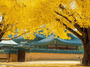 韩国外贸数据,外贸数据,PA真人国际外贸数据