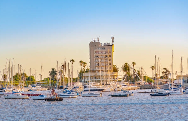 乌拉圭海关数据查询平台（附免费试用查询名额)