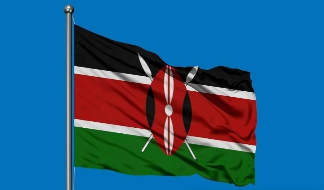 肯尼亚海关 肯尼亚海关